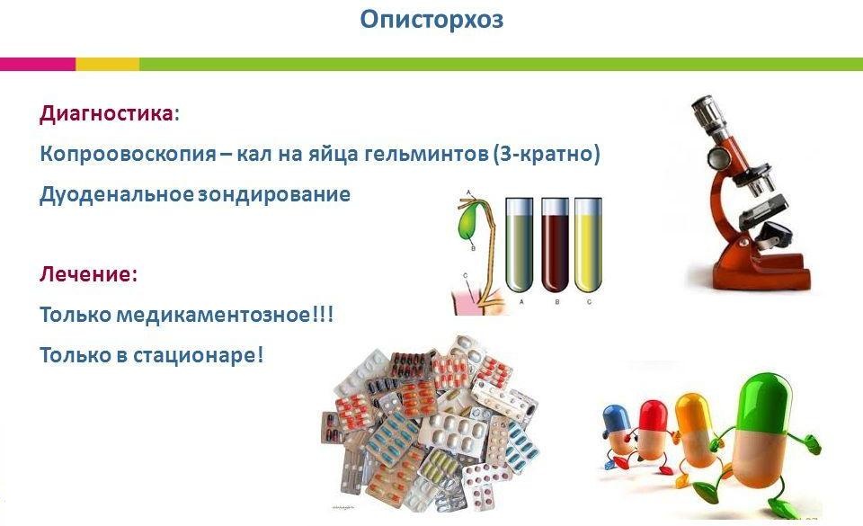 лечение описторхоза медикаментозными средствами